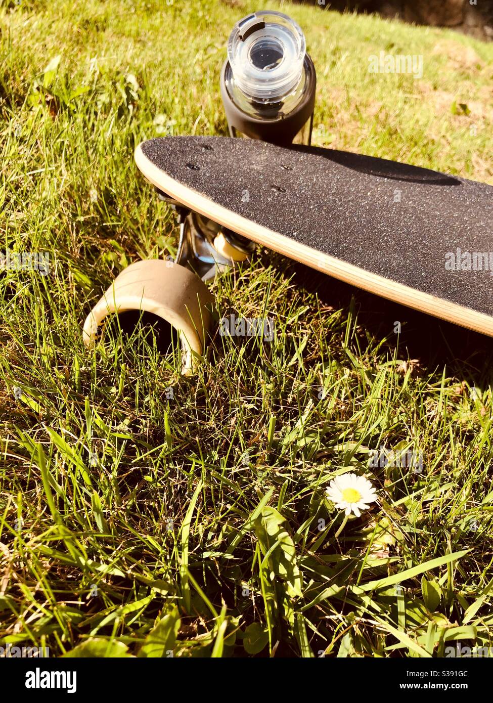 Longboard resting on the grass Stock Photo