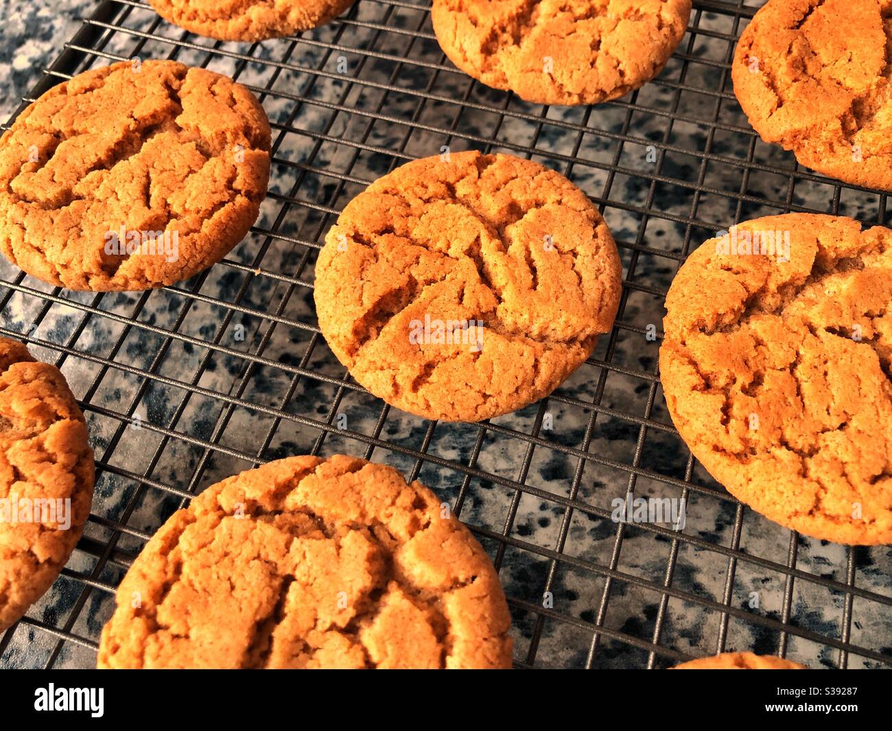 Homemade ginger biscuits Stock Photo Alamy