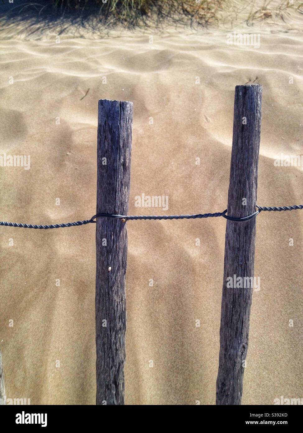 Ganivelles for the protection of sand dunes, Carnon, France - Smartphone Captured Stock Image