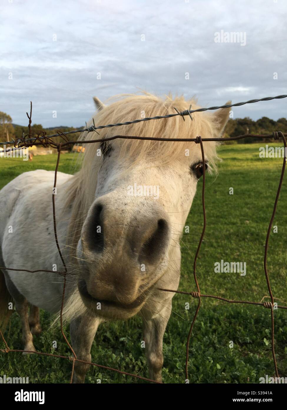 Hello beautiful hi-res stock photography and images - Alamy