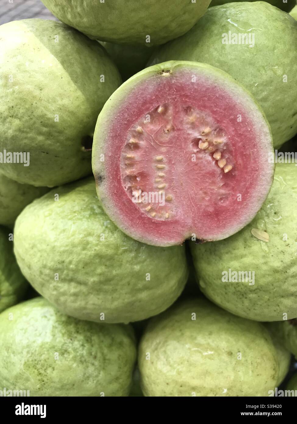 Green guava with red intestine Stock Photo