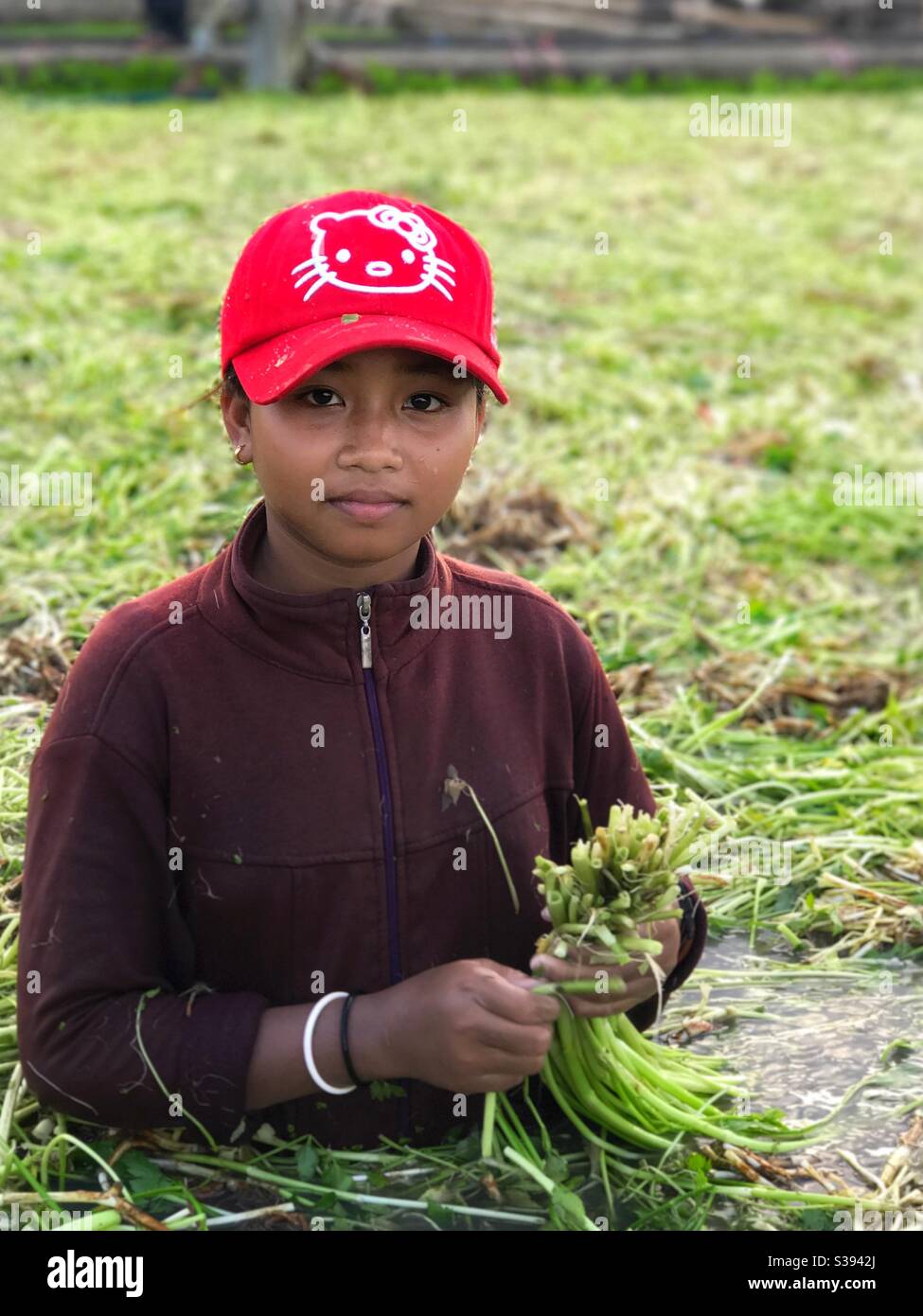 Little girl on green vegetable field Stock Photo