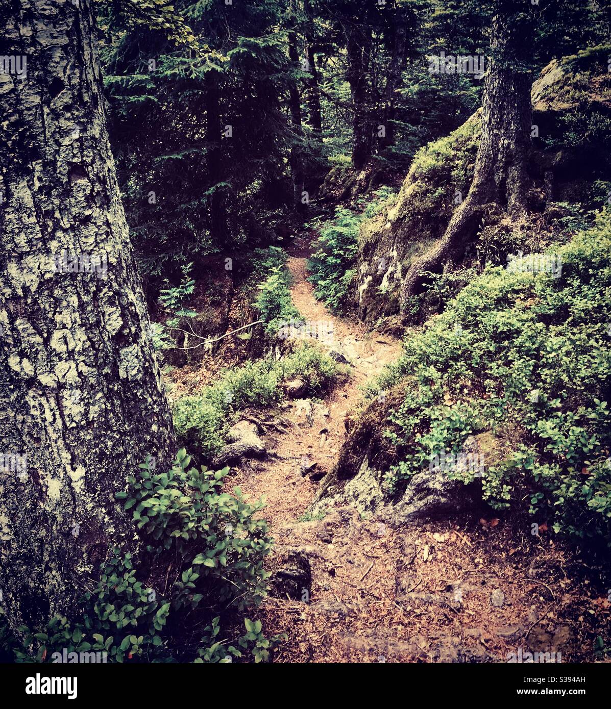 Chemin randonnee hi-res stock photography and images - Alamy