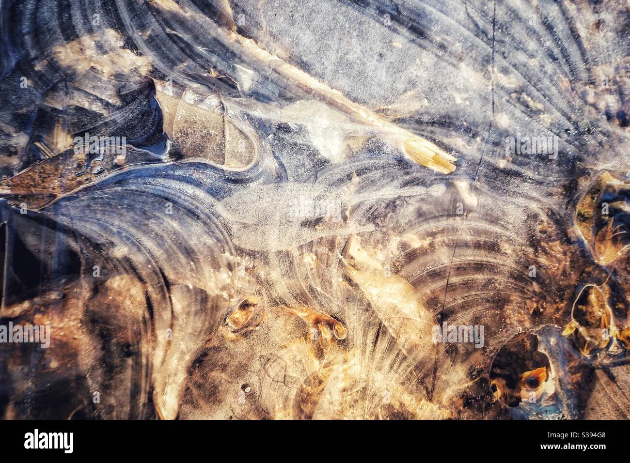 Ice patterns on ground on frozen puddle with leaves and debris on ground Stock Photo