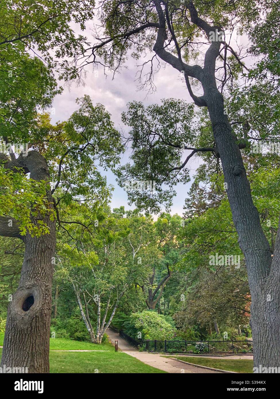 A quiet summer day in the park. - Smartphone Captured Stock Image