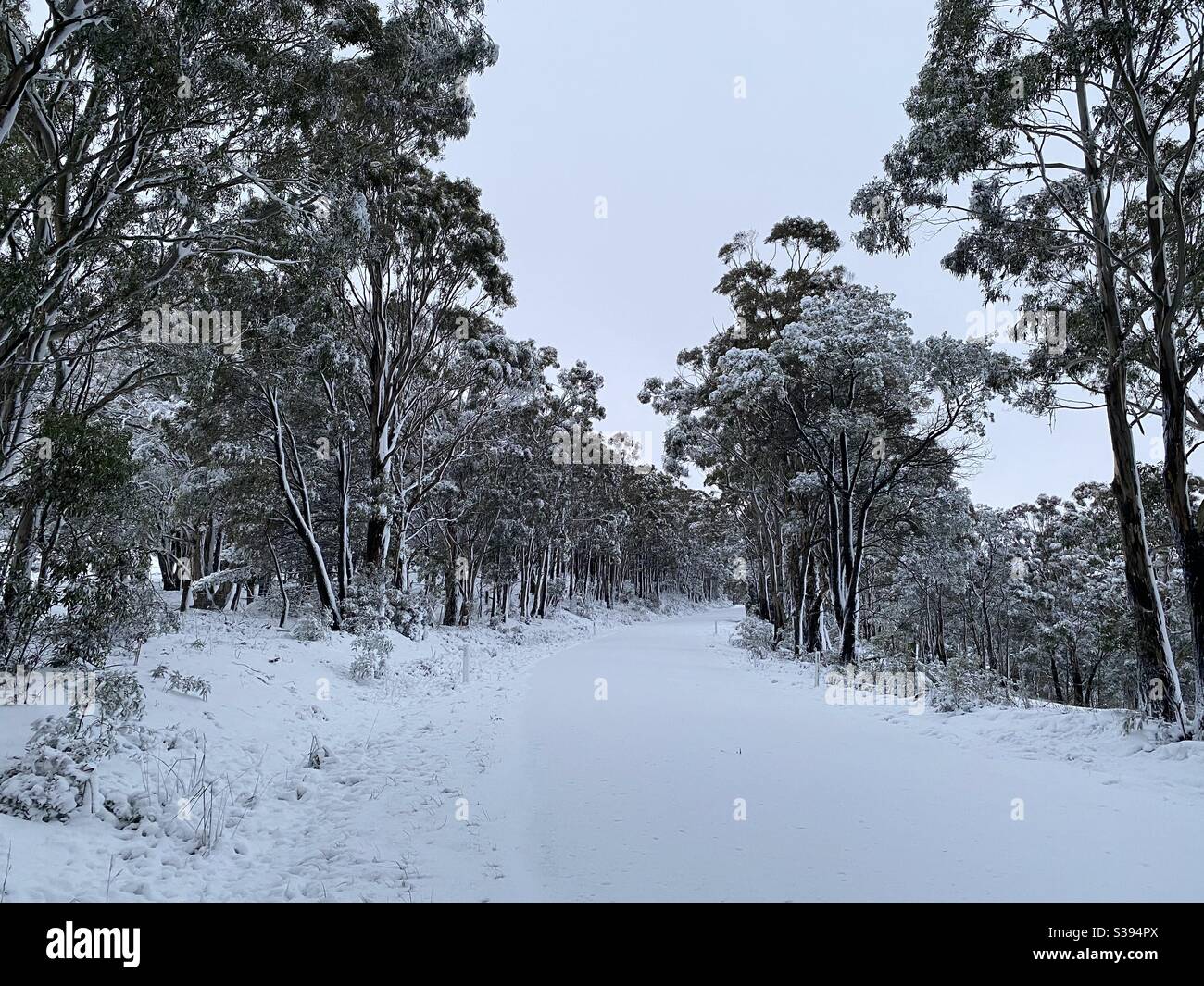 Snow coverage. Snow coverage