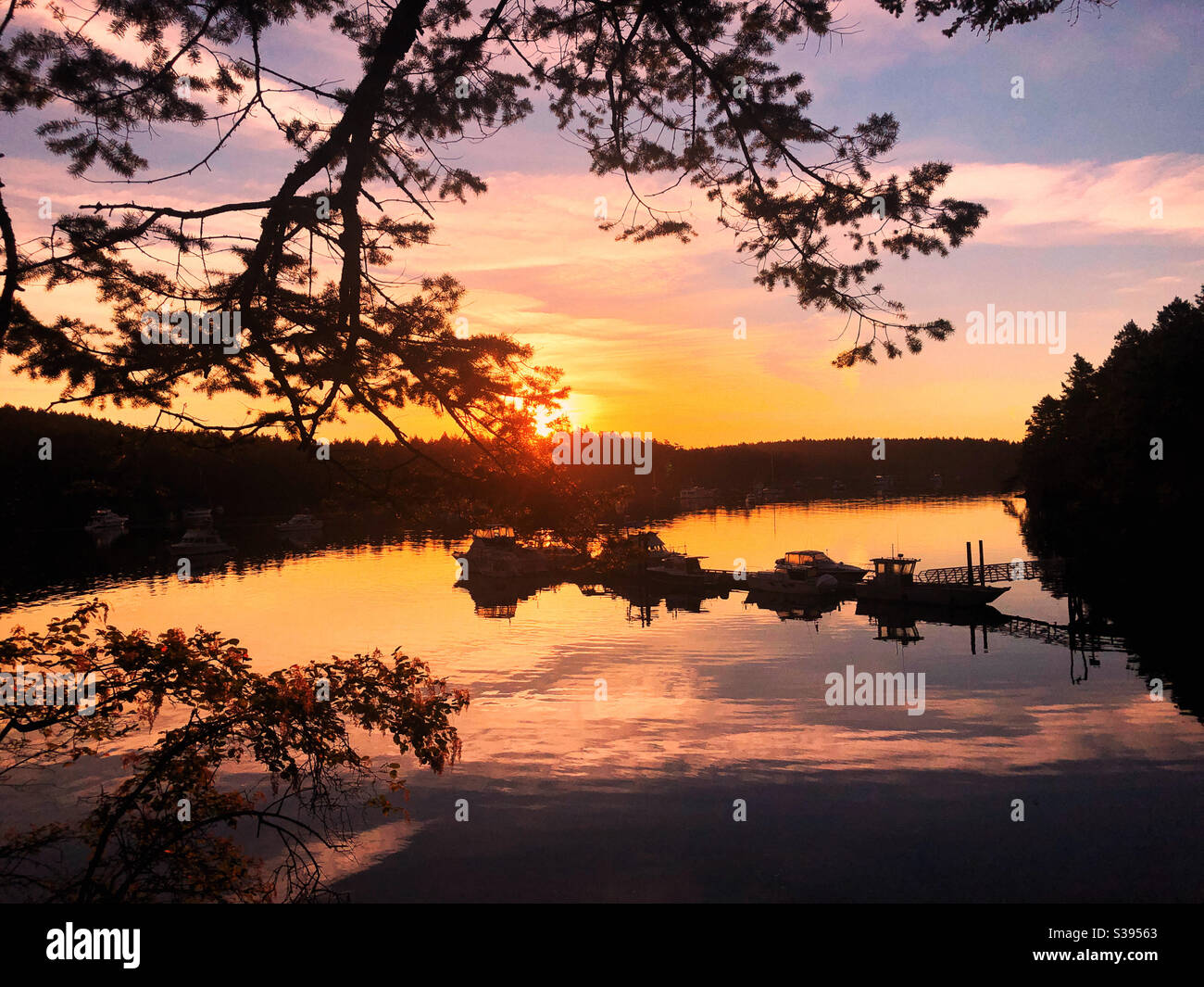 Joy of island camping - Smartphone Captured Stock Image
