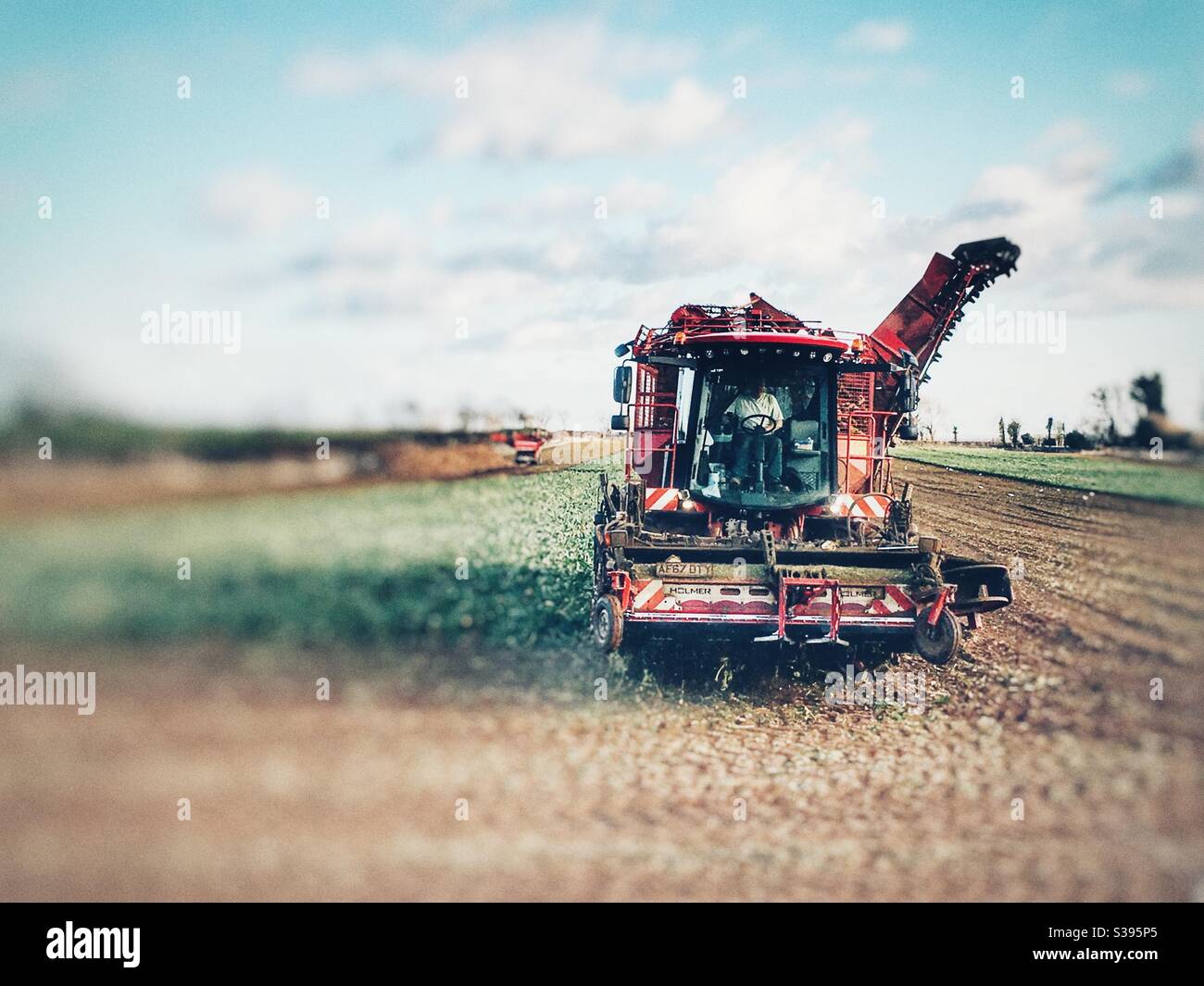 Self propelled sugar beet harvester - Smartphone Captured Stock Image