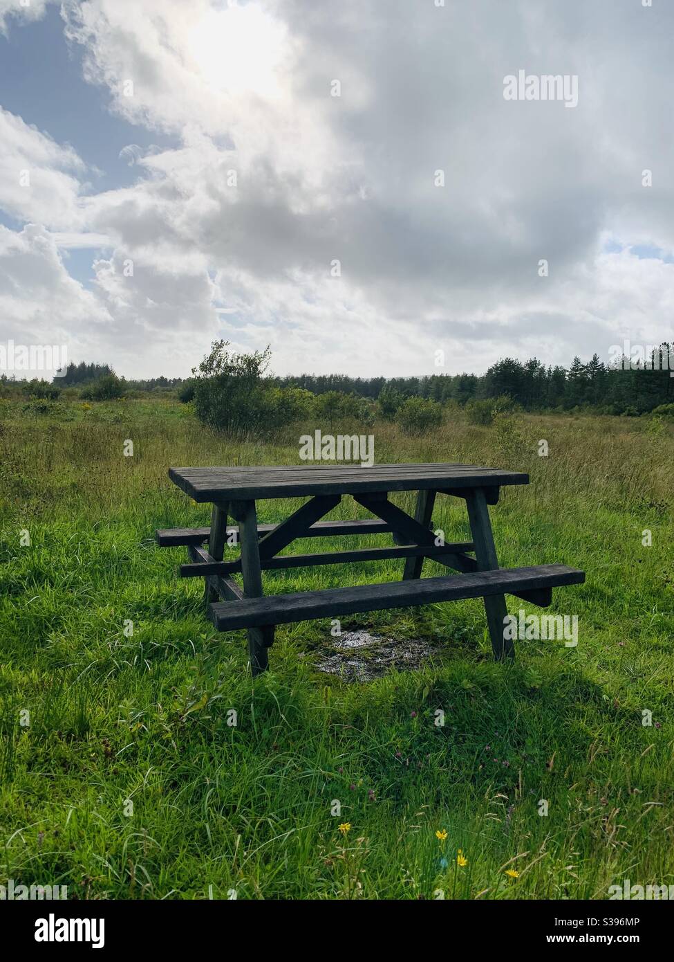 Wooden Picnic Bench on a Welsh Woodland Countryside Walk Stock Photo