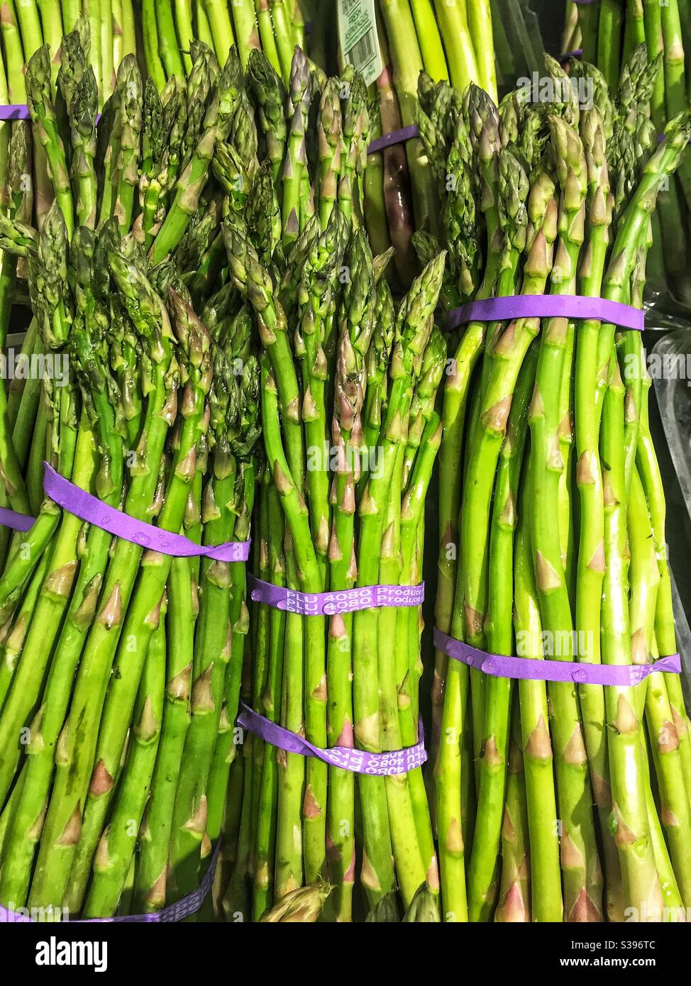 Fresh cut asparagus in bundles. - Smartphone Captured Stock Image