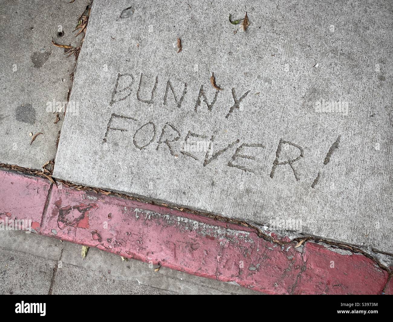 LOS ANGELES, CA, JUN 2020: Bunny Forever! written in the cement on a sidewalk in Downtown - Smartphone Captured Stock Image