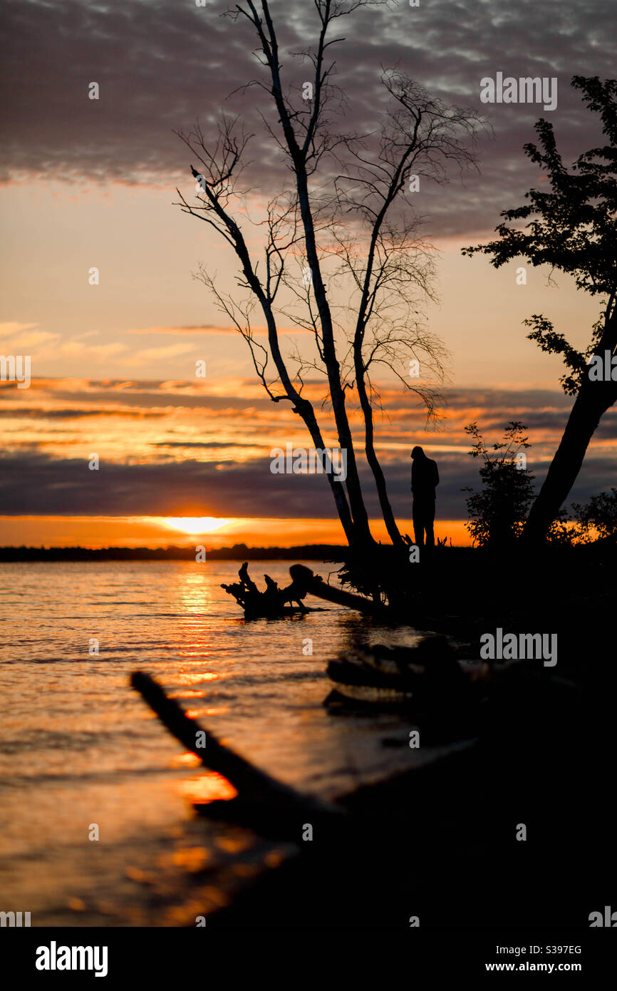 Man and trees hi-res stock photography and images - Alamy