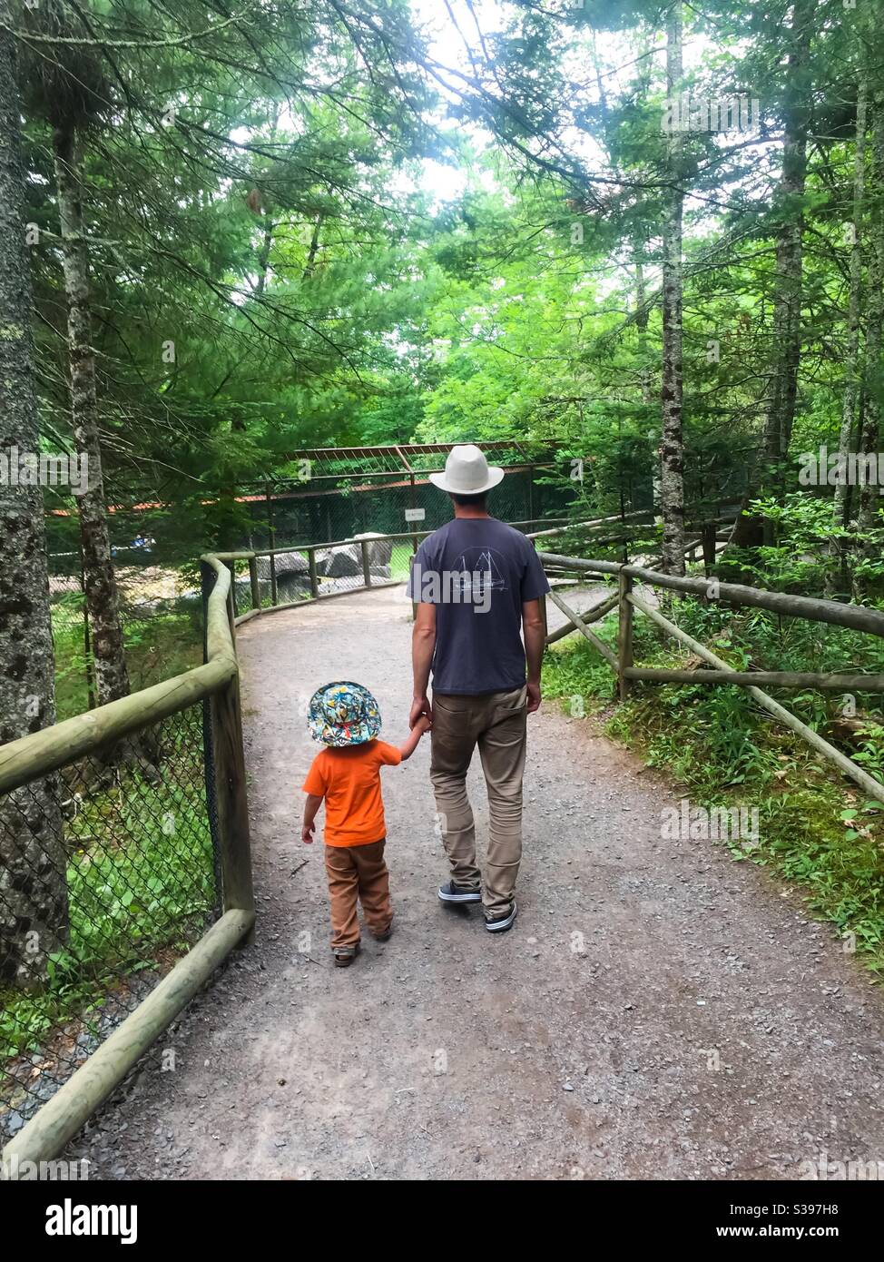 Father and son in a wildlife park, CANADA, inhaling the aroma of the forest. - Smartphone Captured Stock Image