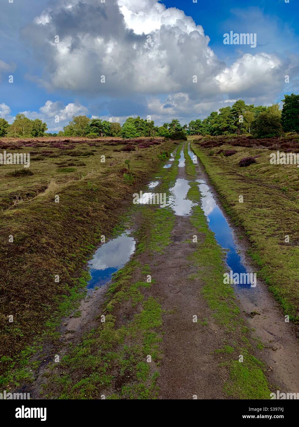 Sutton Heath, Woodbridge, Suffolk - 28 August 2020: Tracks across the heath turned into streams by heavy rain. Stock Photo