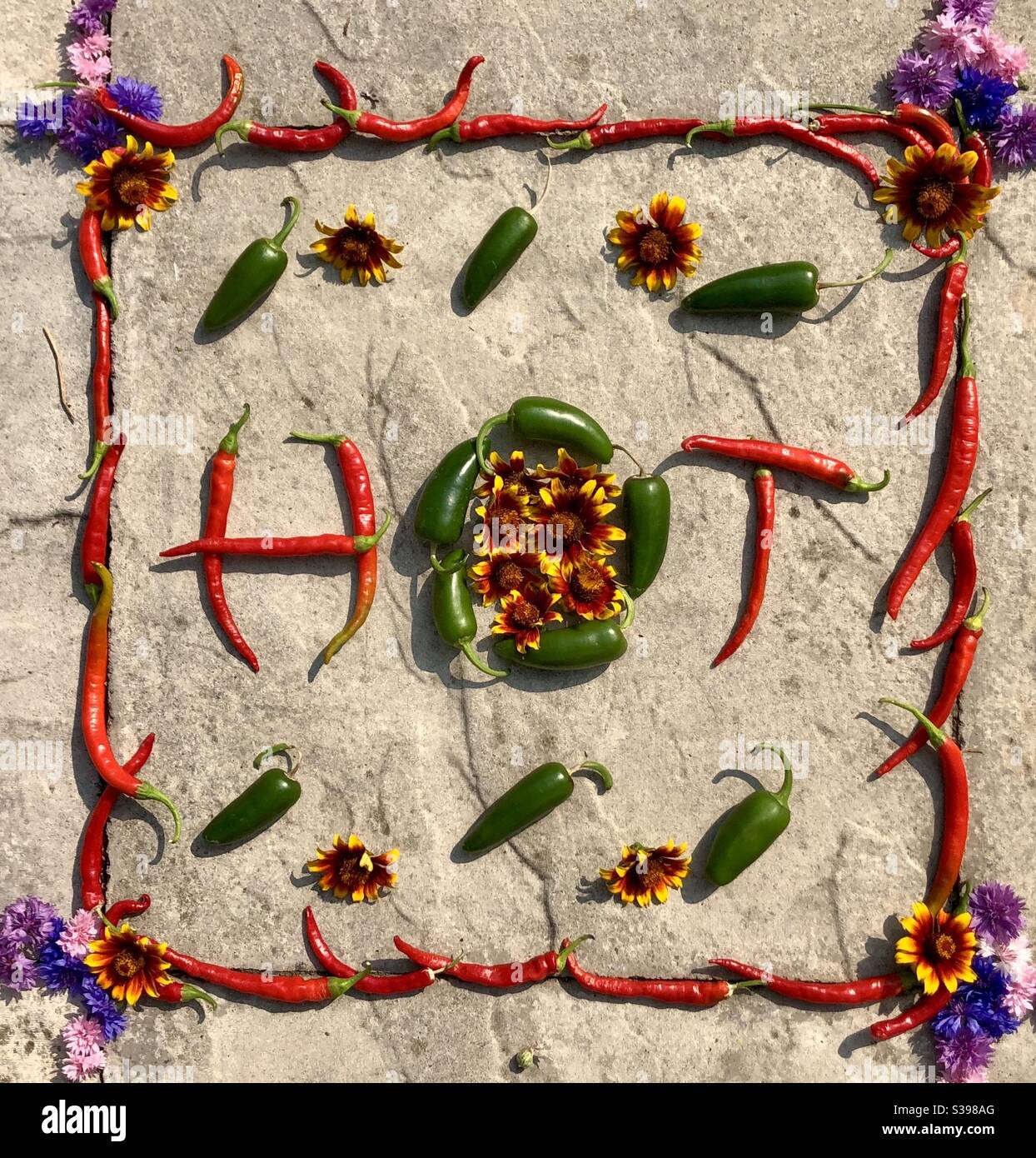 Homegrown Chillies High Resolution Stock Photography and Images - Alamy