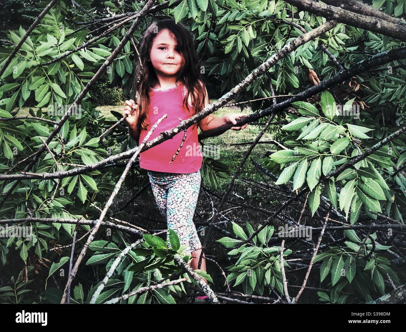 Young girl standing in tree branches Stock Photo
