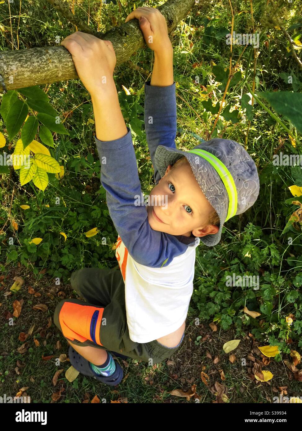 Just hanging around! Fun climbing trees. Stock Photo