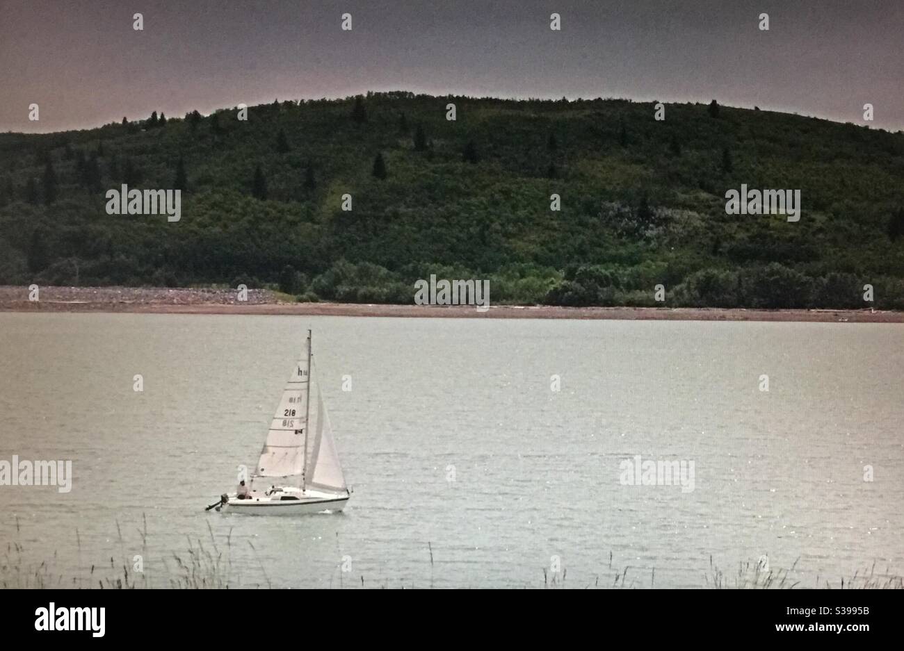 Sail boating, Ghost Lake, Alberta , Canada, sailing, travel Alberta - Smartphone Captured Stock Image