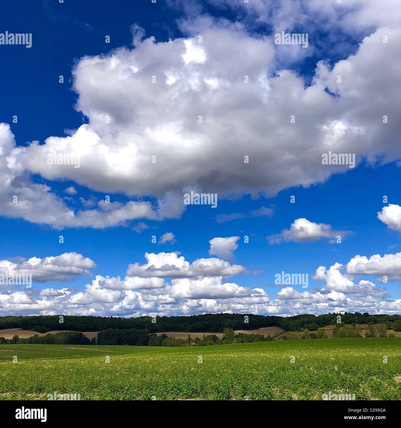 Cumulus clouds in blue sky over central France farmed landscape. - Smartphone Captured Stock Image