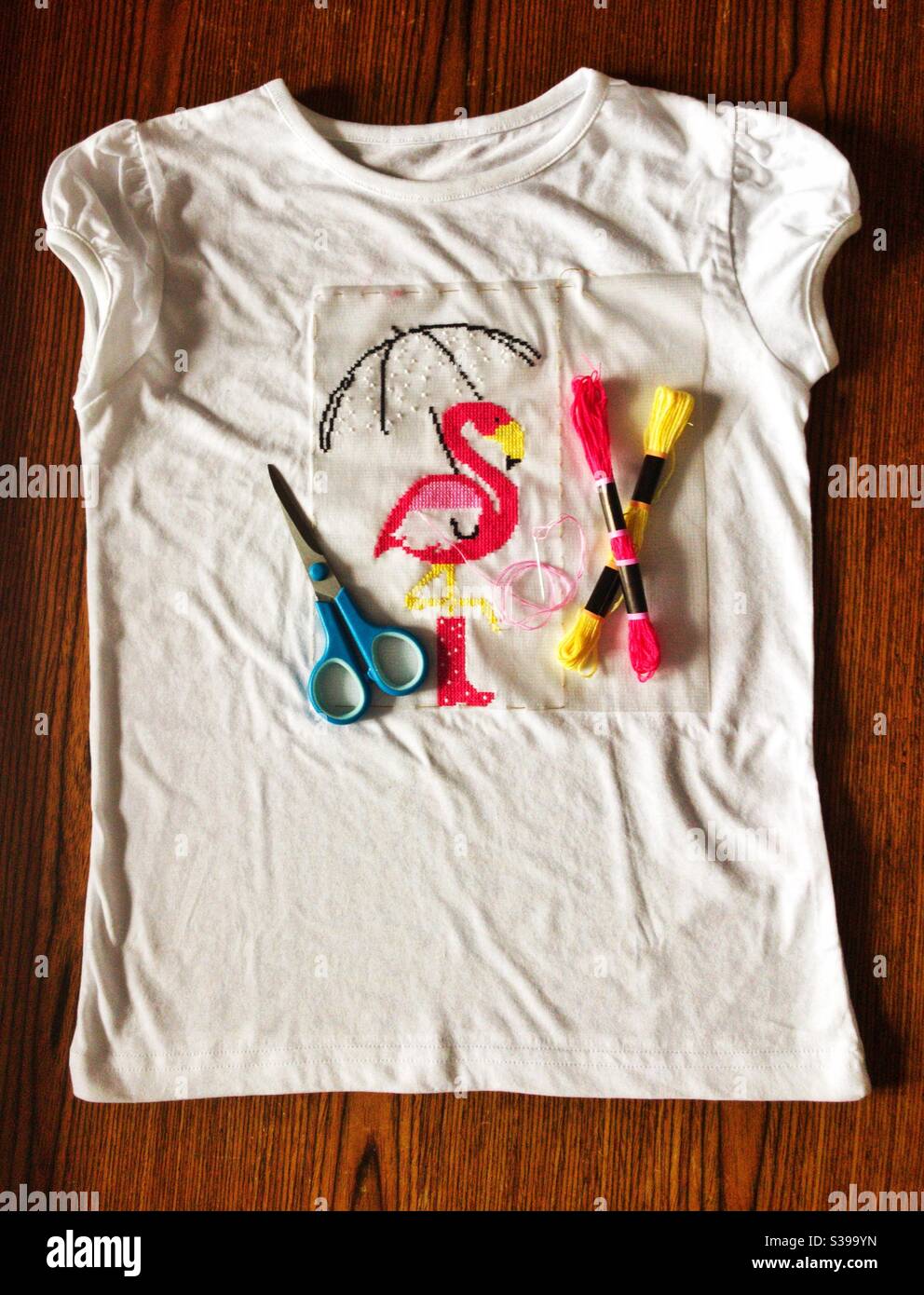 Cross stitch on Tshirt using soluble canvas. Lockdown crafts Stock Photo Alamy
