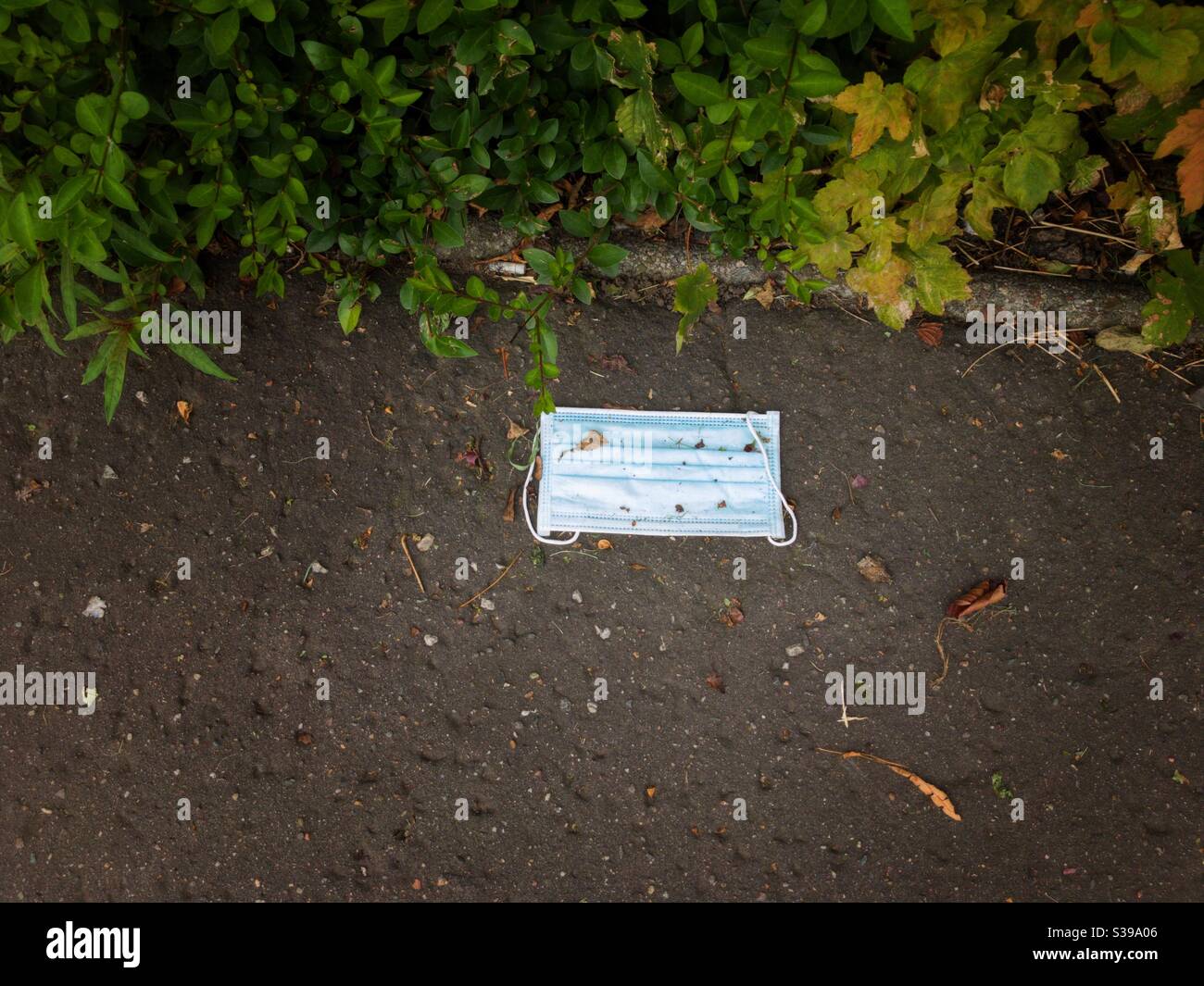 Face mask discarded on ground beside bus stop. - Smartphone Captured Stock Image