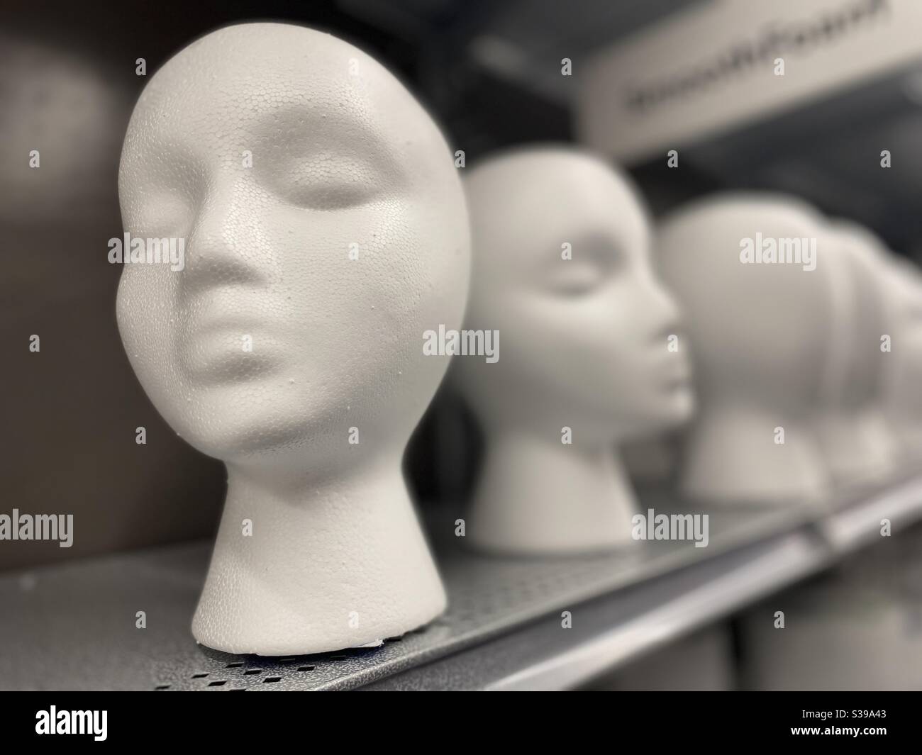 Female styrofoam head on display Stock Photo Alamy