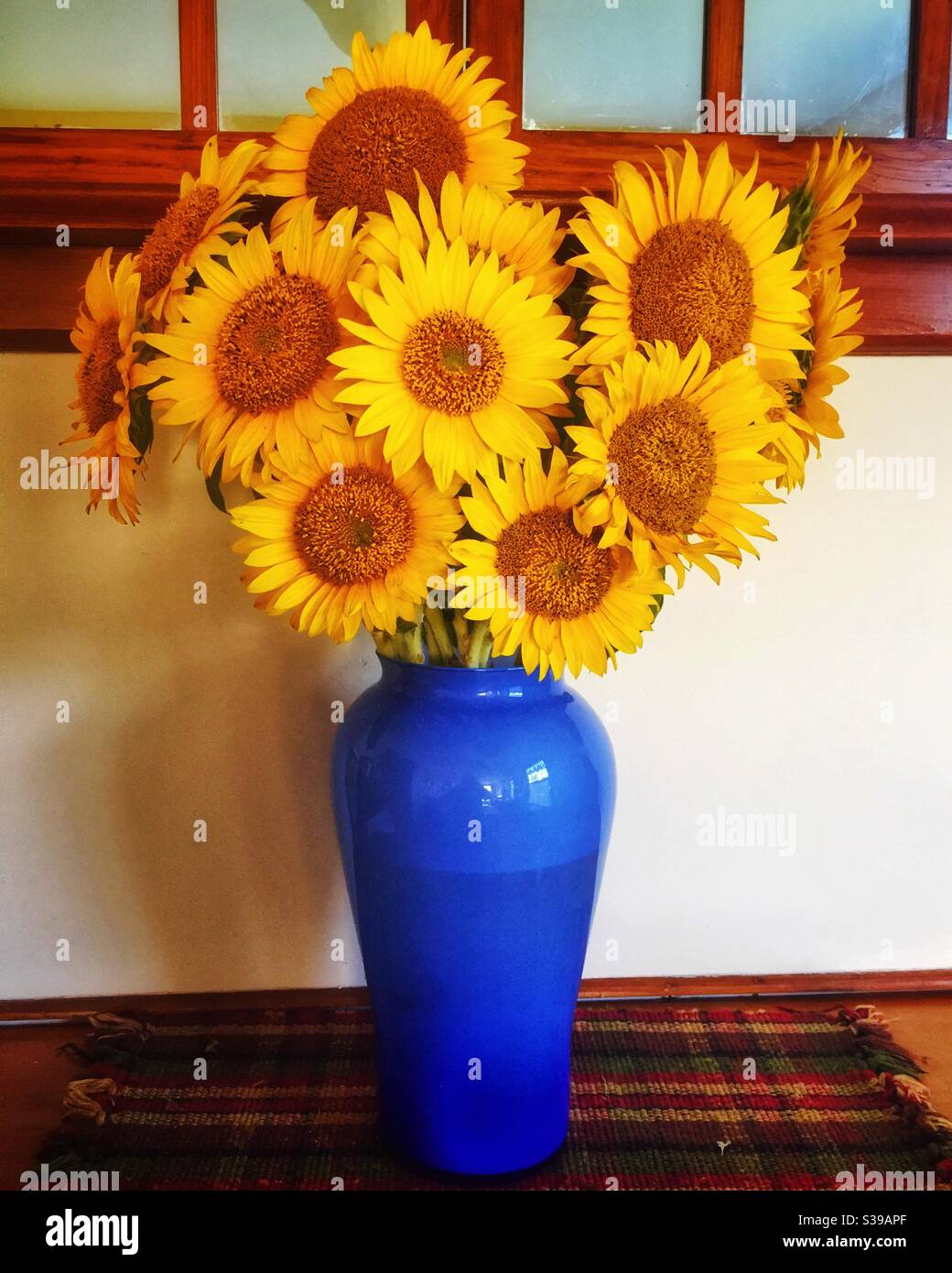 Bouquet of bright yellow sunflowers in a blue glass vase. Stock Photo