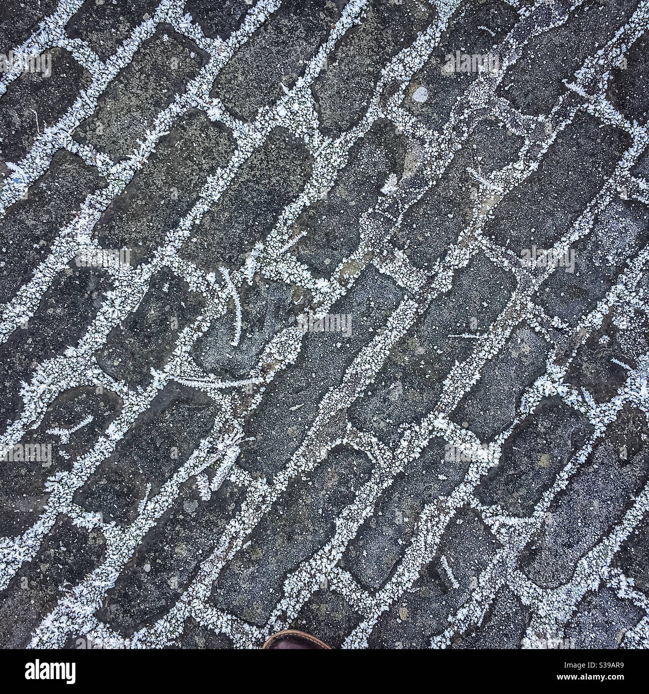 Frosty small paving stones - Smartphone Captured Stock Image