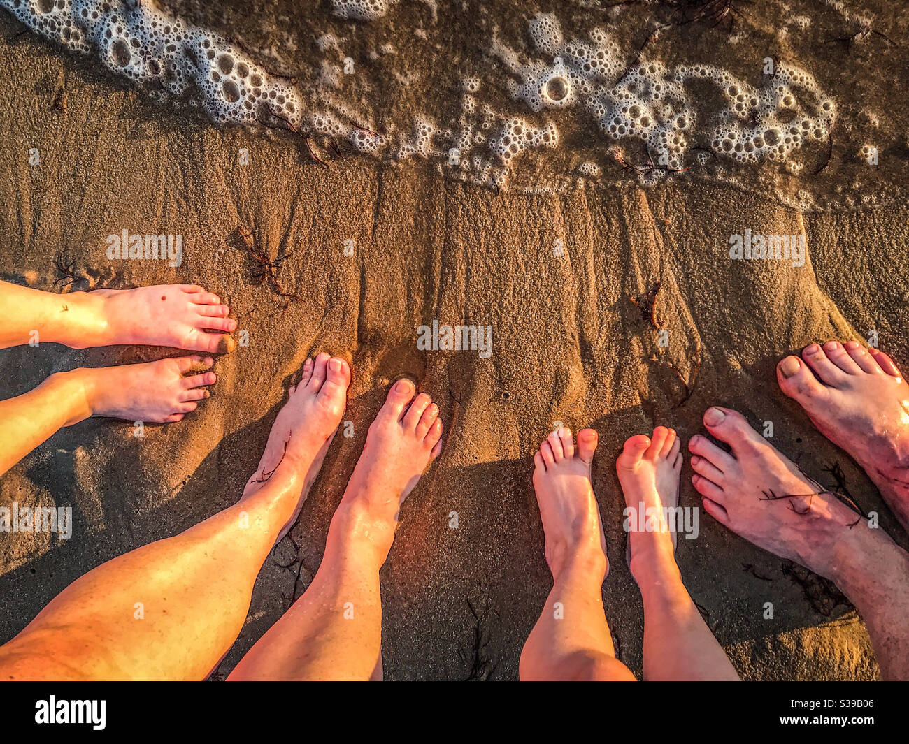 Feet of a family of four in the sand on a beach by the sea Stock Photo