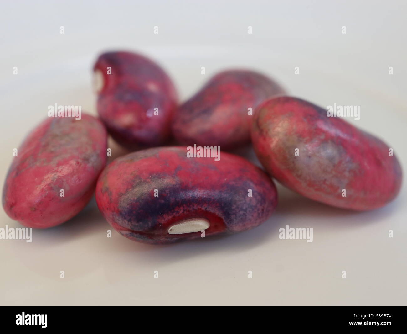 Coloured Runner Beans - Smartphone Captured Stock Image