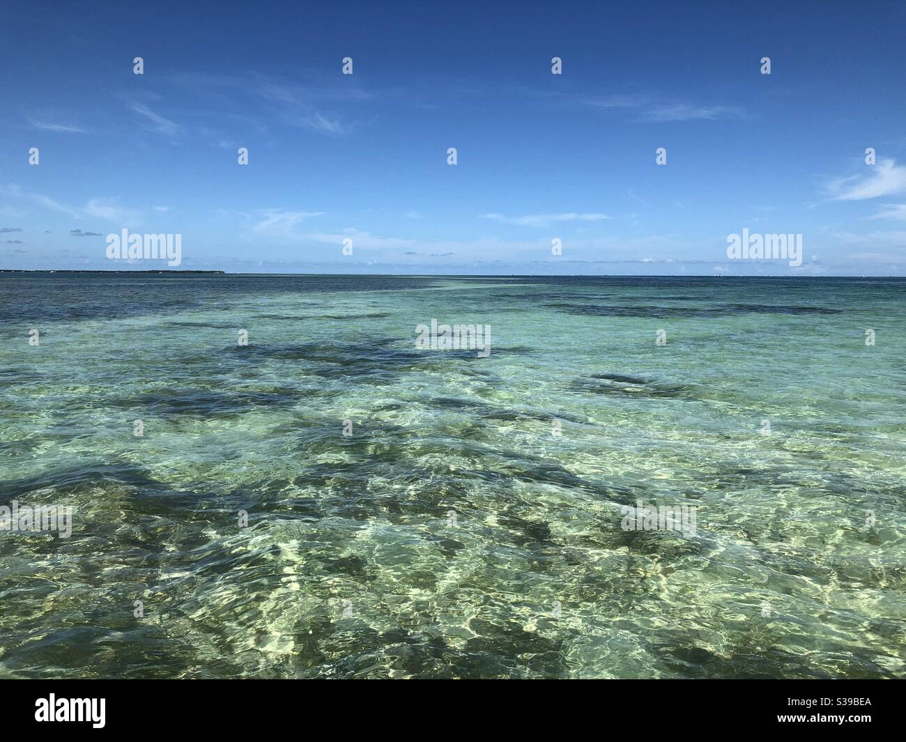 Clear Florida keys water Stock Photo Alamy