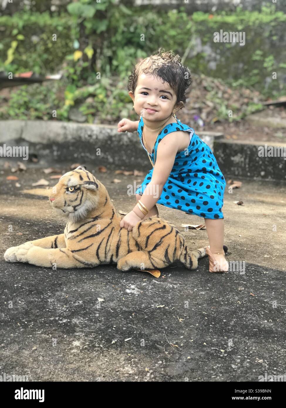 kid playing with tiger soft toy Stock Photo Alamy