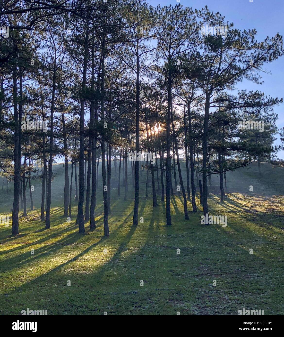 Tia nắng đầu tiên - Smartphone Captured Stock Image
