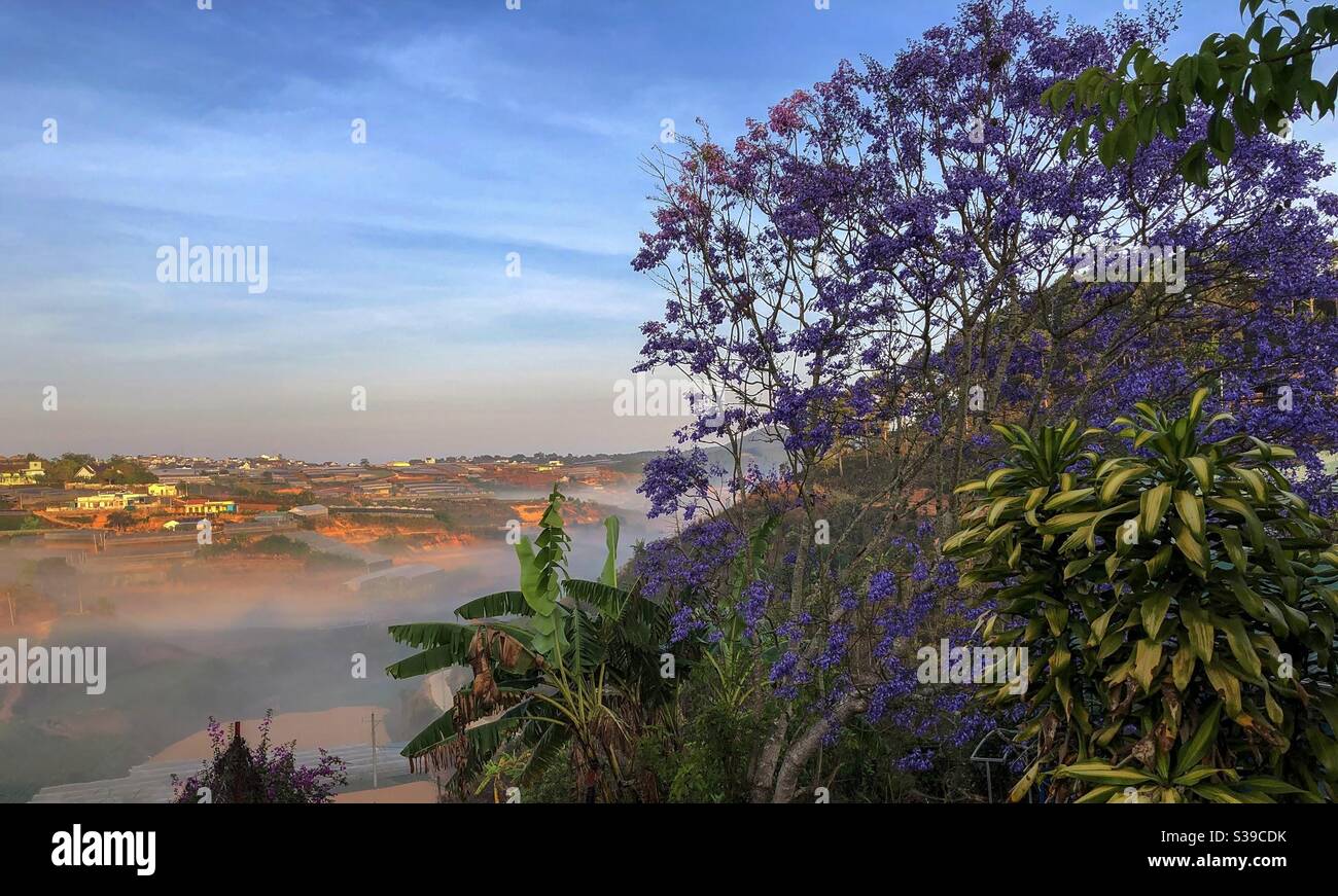 Một sớm ở trên phố núi - Smartphone Captured Stock Image