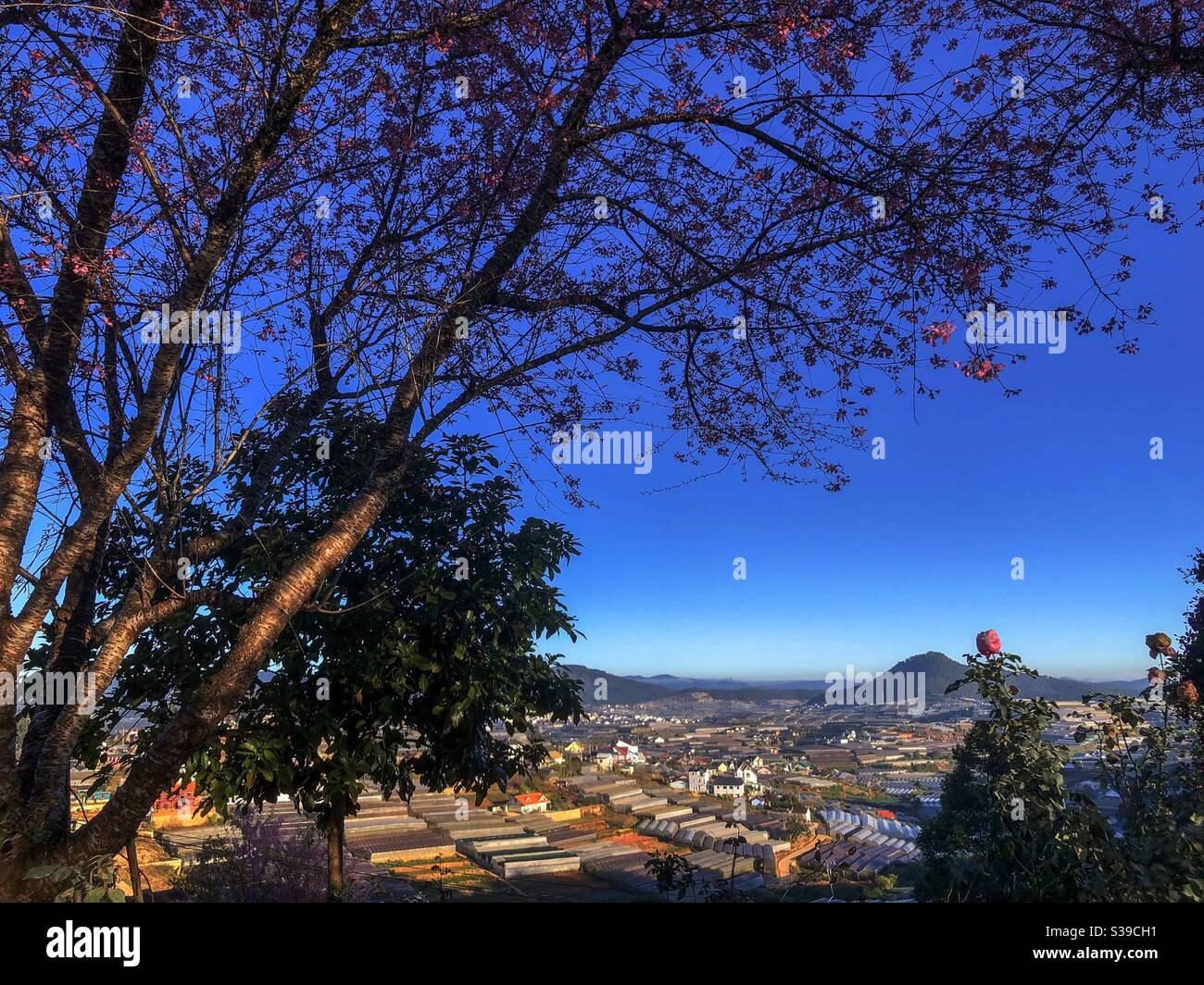 Một sớm ở trên phố núi - Smartphone Captured Stock Image