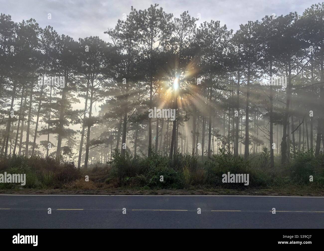 Những tia nắng đầu - Smartphone Captured Stock Image