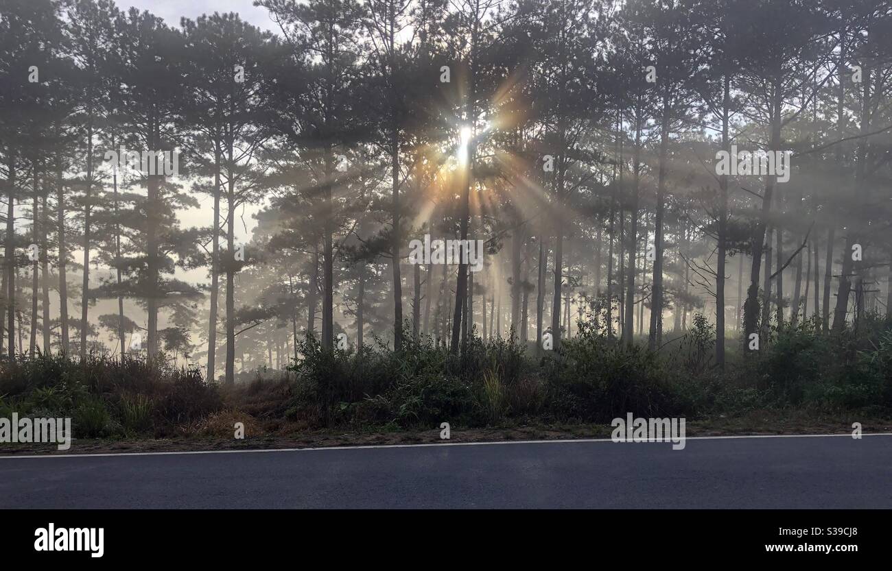 Những tia nắng đầu - Smartphone Captured Stock Image