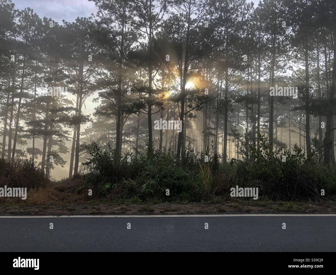 Những tia nắng đầu - Smartphone Captured Stock Image