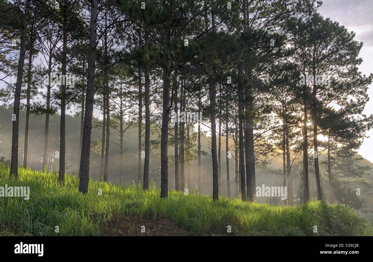 Nắng sớm ở trên phố núi - Smartphone Captured Stock Image