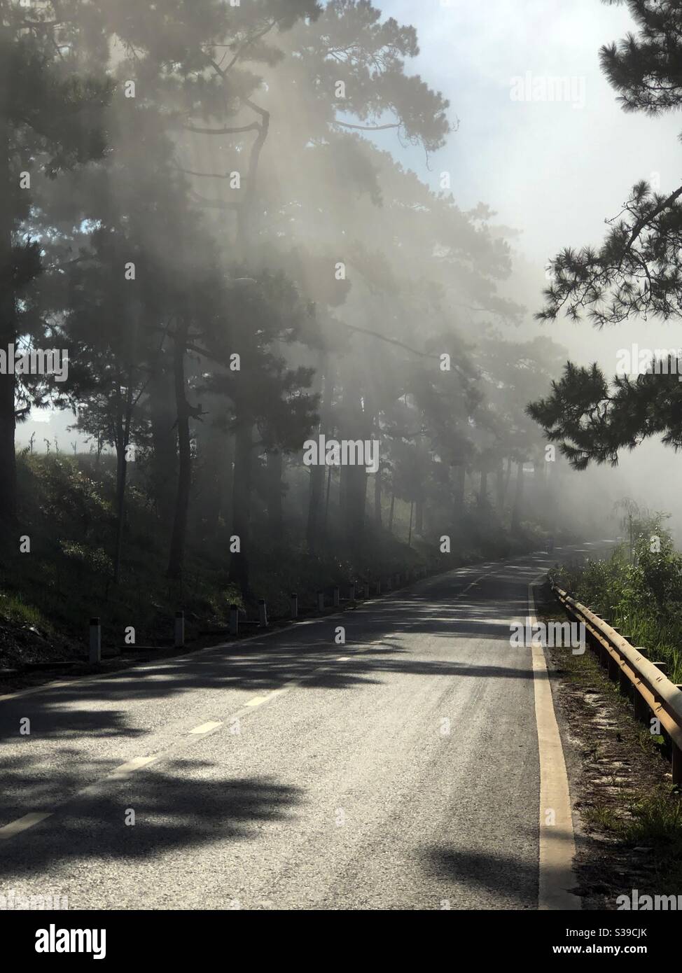 Sương sớm trên những con đường - Smartphone Captured Stock Image