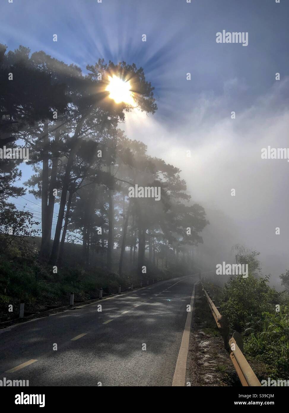 Những tia nắng đầu tiên - Smartphone Captured Stock Image