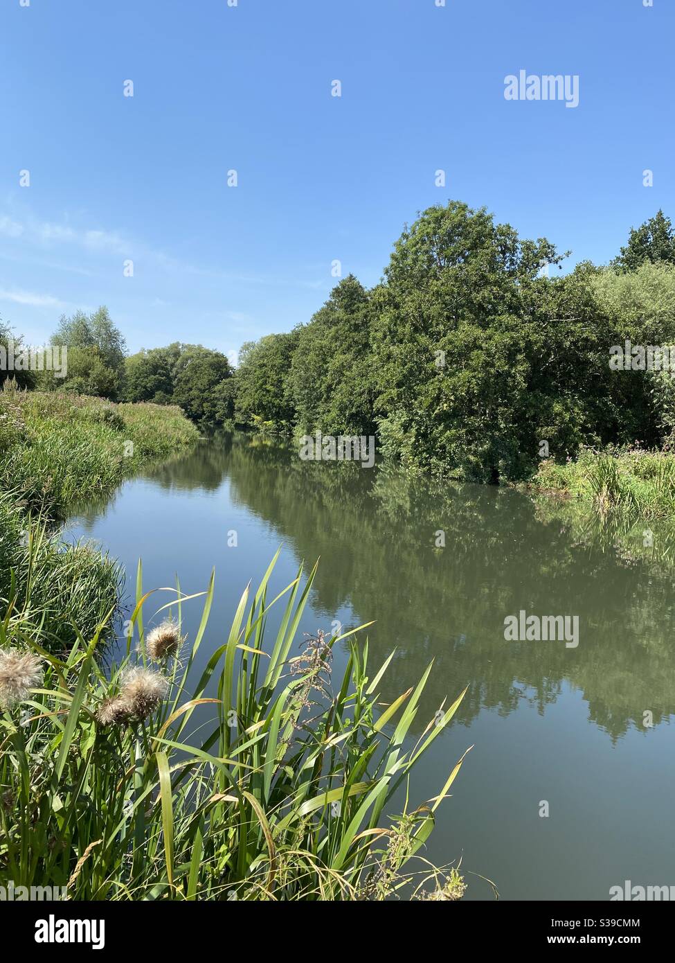 summers-skies-hi-res-stock-photography-and-images-alamy