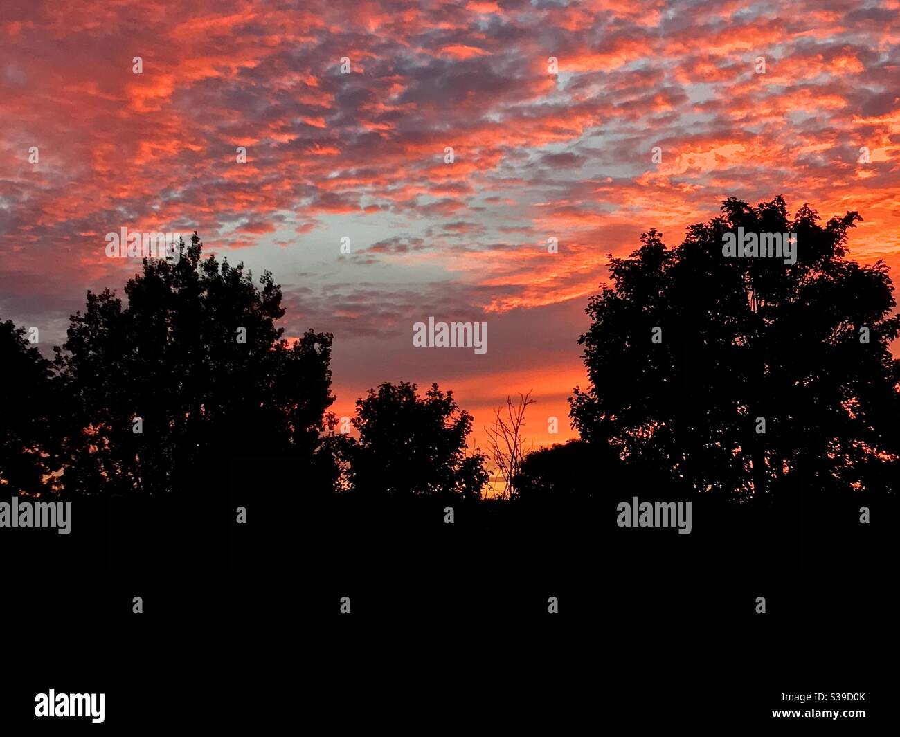 A beautiful September orange sky at sunset . - Smartphone Captured Stock Image