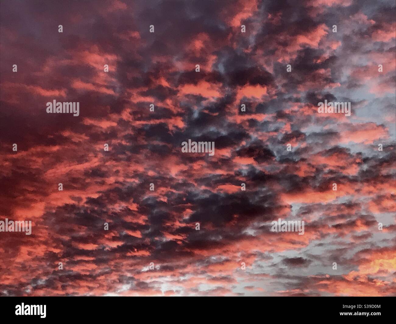 September evening sky at sunset - Smartphone Captured Stock Image