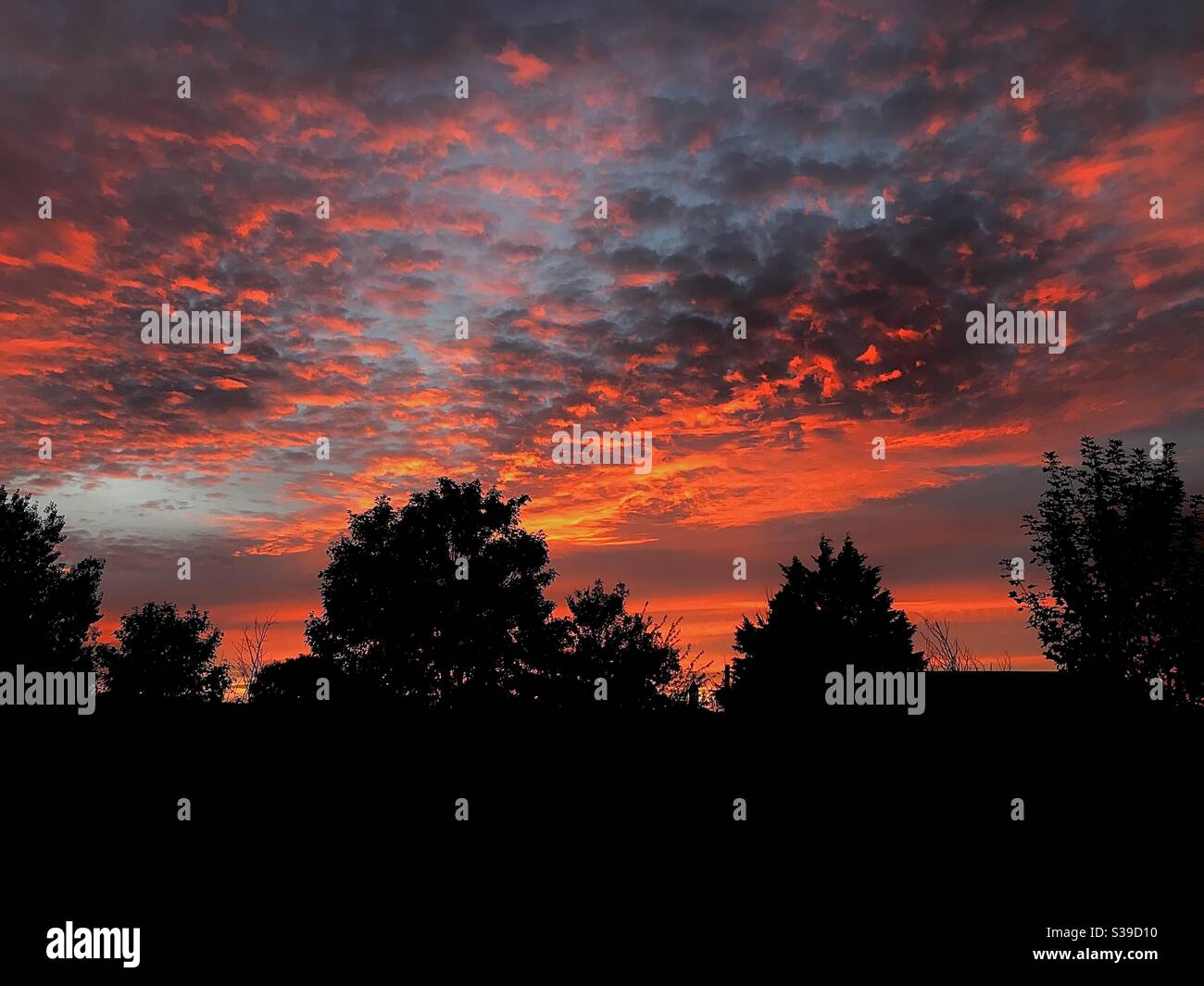 Trees silhouetted against the beautiful sunset sky - Smartphone Captured Stock Image