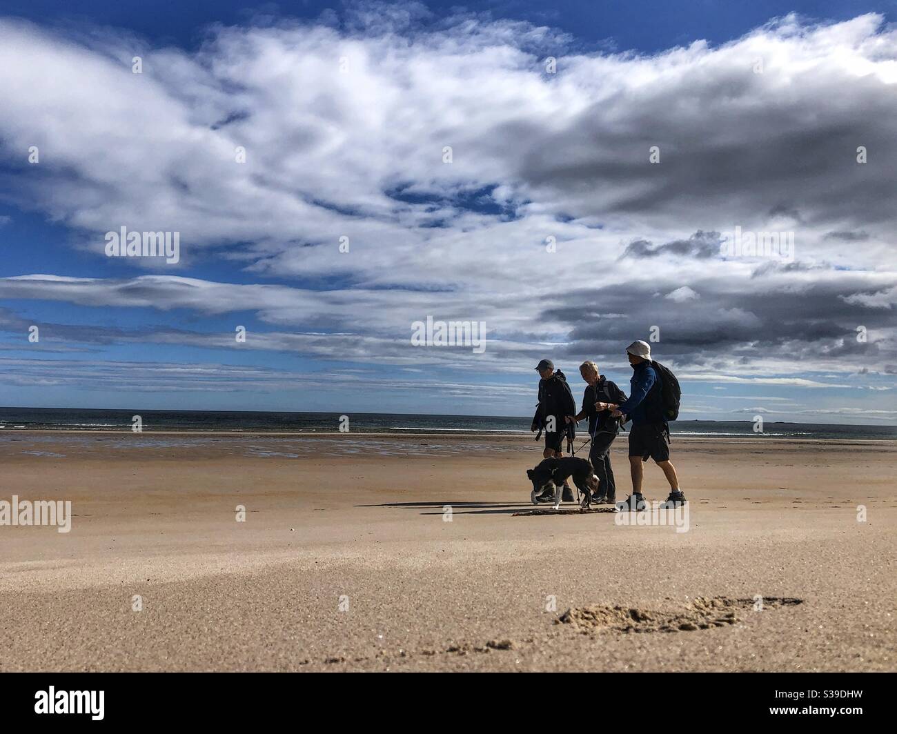 Three men and a dog walking on Ross Back Sands beach Northumberland Stock Photo