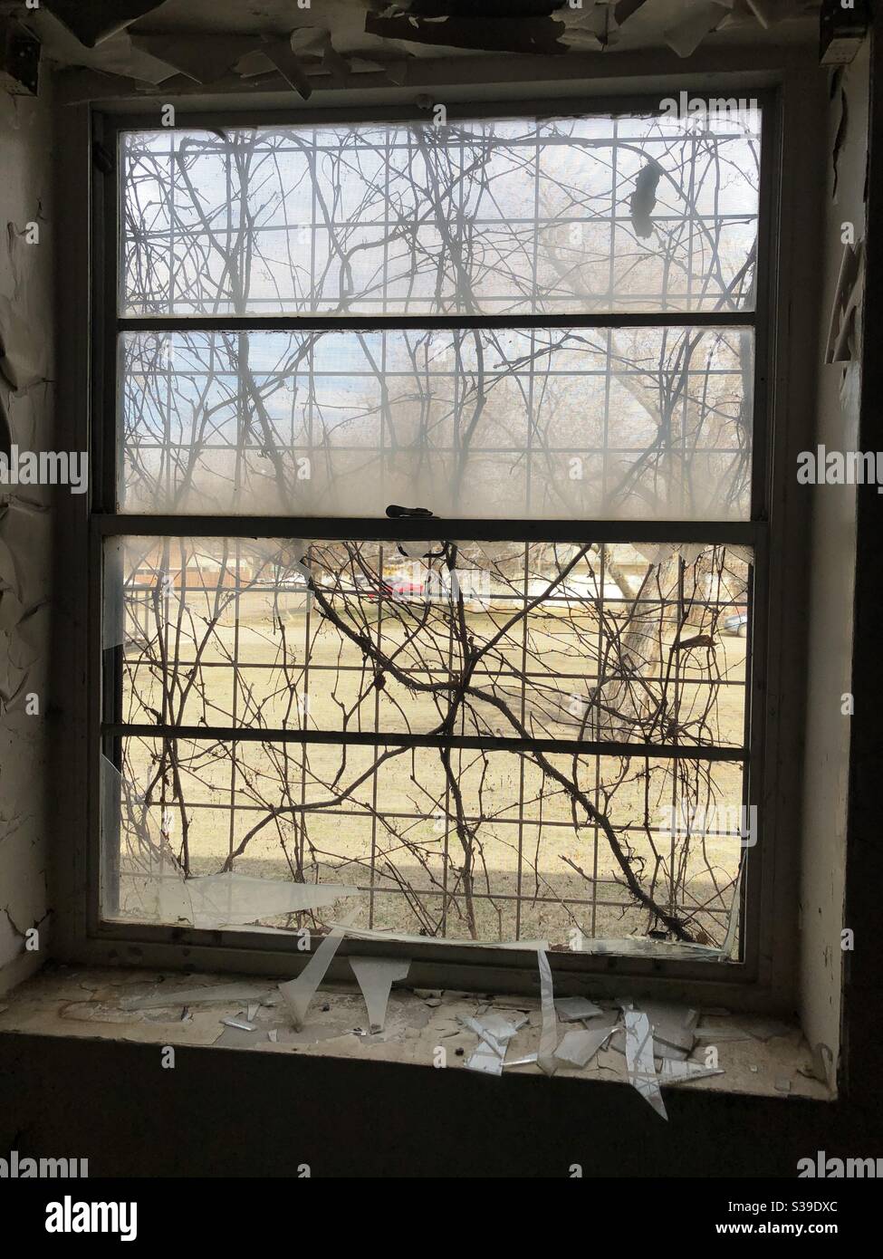 Creepy Broken Window Stock Photo Alamy Creepy Broken Window S39DXC