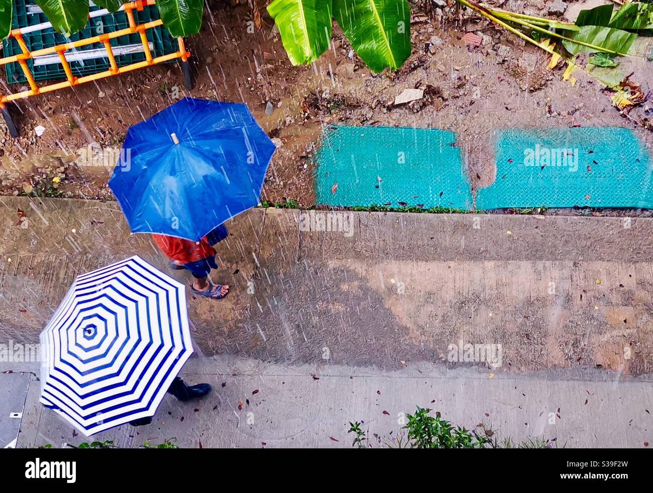 Walking in the heavy rain Stock Photo - Alamy