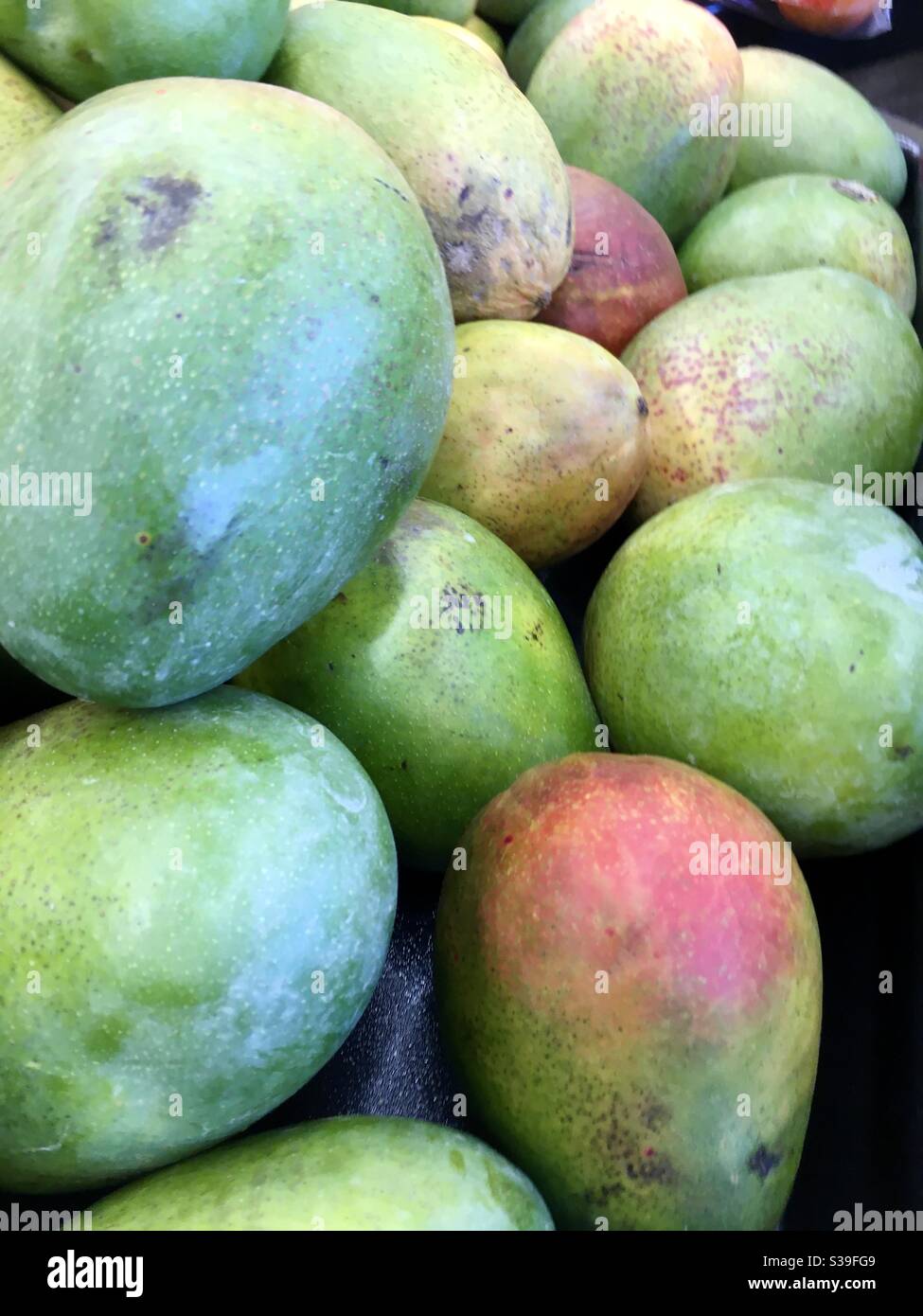 Selling mangoes hires stock photography and images Alamy