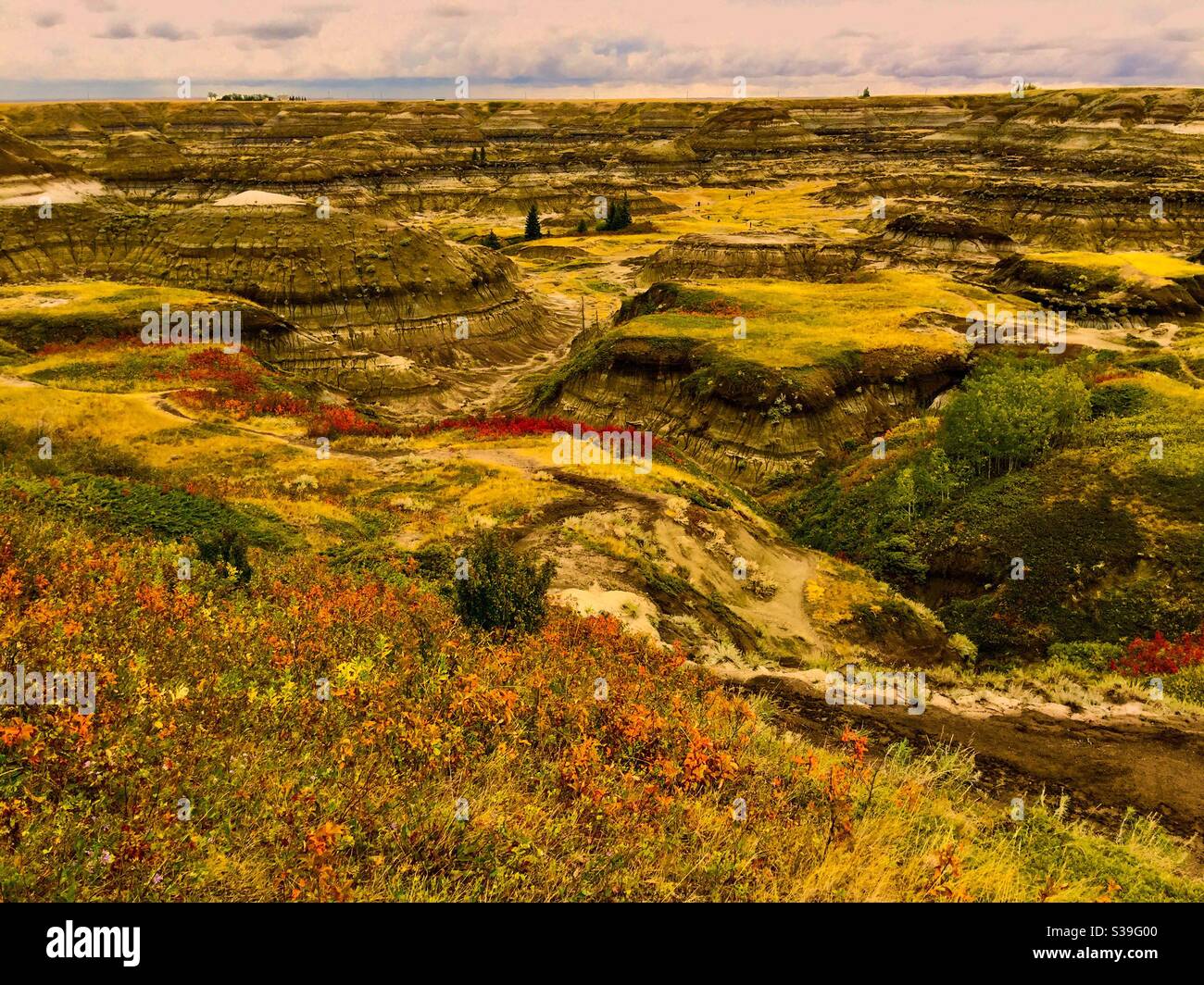 Traveling Alberta, Horseshoe canyon, Drumheller, Alberta, badlands